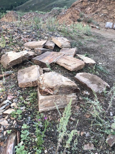 Плитняк кора дерева 50-100мм для пошаговых дорожек купить в Среднеуральске